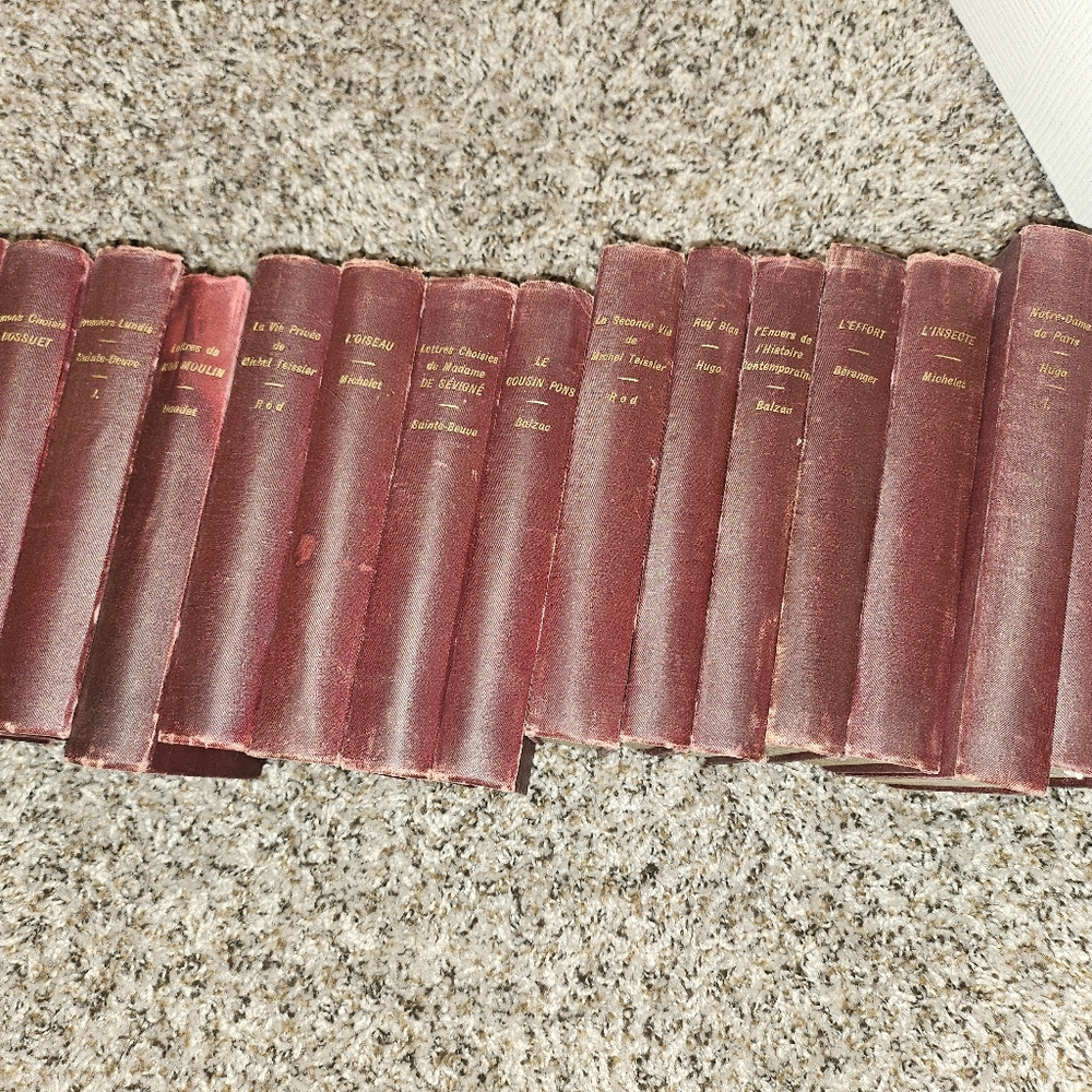My Grandma's Lot of Antique French Books.